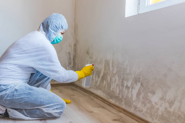 Bathroom Mold Removal assessment in Kingston bathroom